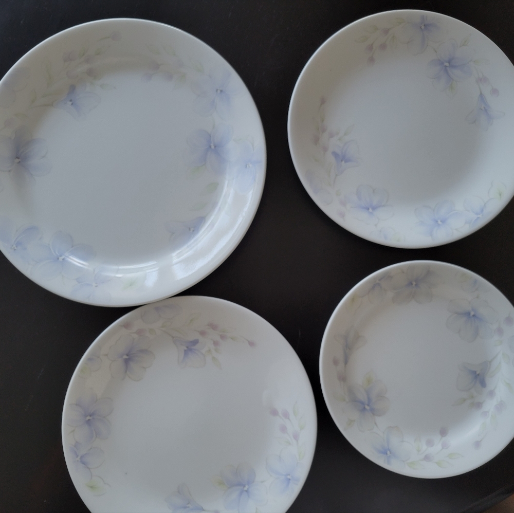 Ceramic pkates